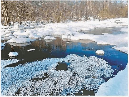 探索天涯,畅享蛇头鱼放入-12℃冰箱冻起来,10小时后它还能复活吗?结果出乎意料问答平台!